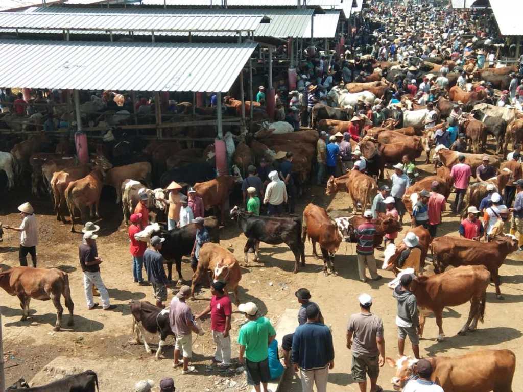 Permintaan Hewan Kurban Keluar Kota dari Boyolali Meningkat